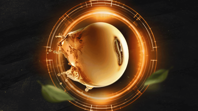 Banner Kepler Weber