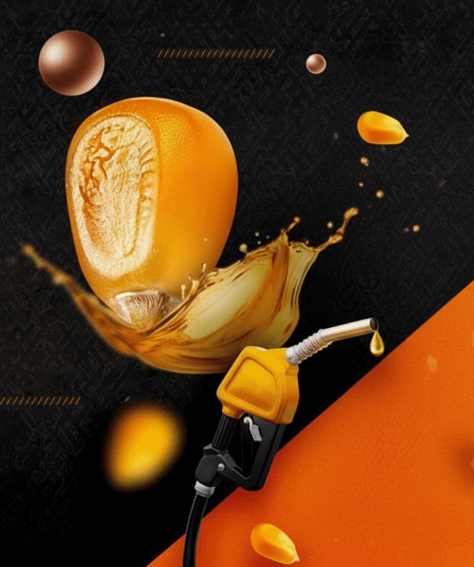 Form background