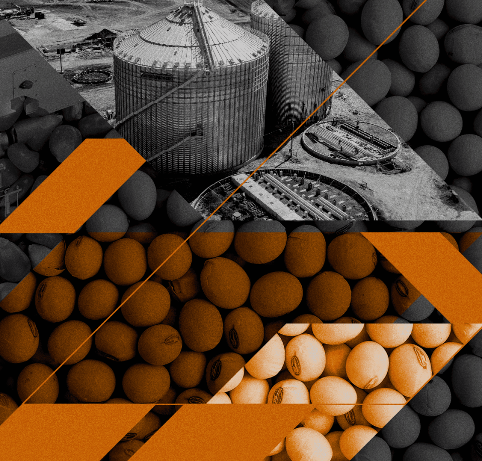 Form background